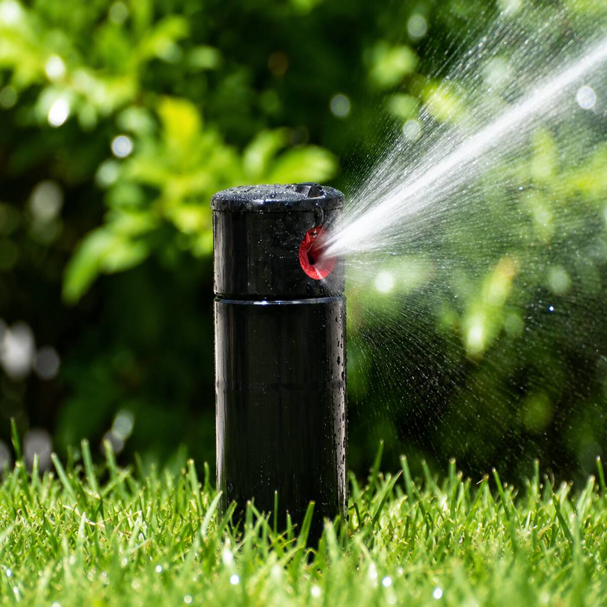 Aspersor para irrigação Rotor PGP Hunter