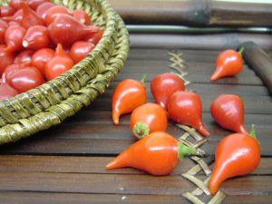 Kit Sementes Pimentas (3 variedades)