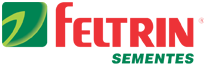 Logo Feltrin