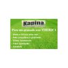 kapina Herbicida Seletivo - 60 ml