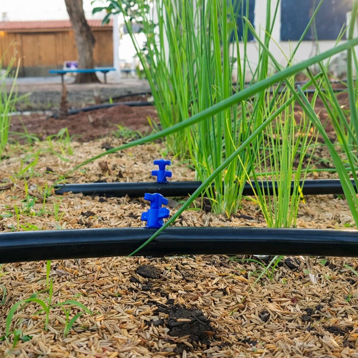 Mangueira para gotejamento PELBD 16mm