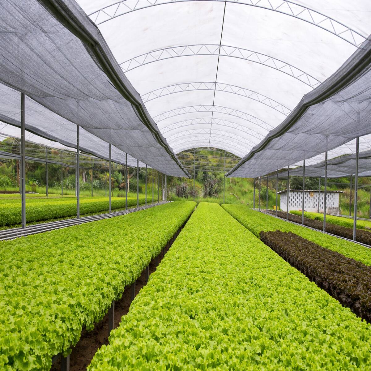 Tela de sombreamento sombrite Freshnet