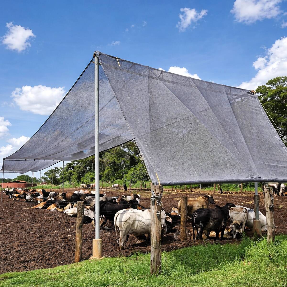 Tela de sombreamento sombrite Freshnet